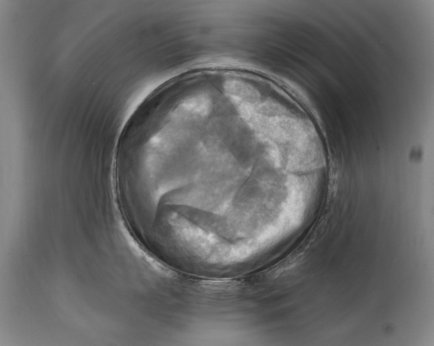 X0000114560863200911161222