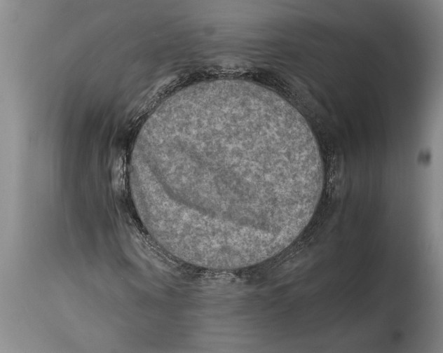 X0000114560866200911161221