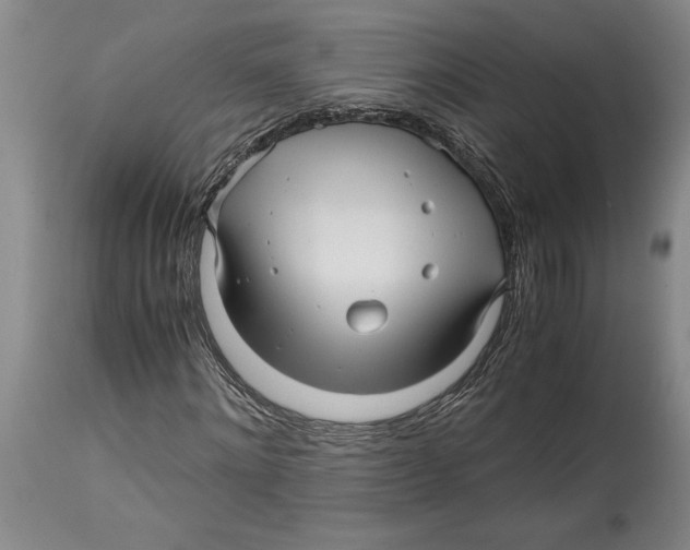 X0000114560868200911161221