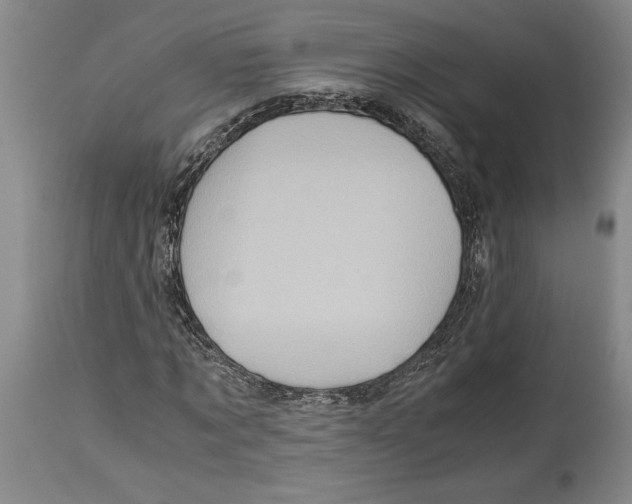 X0000114560869200911161221