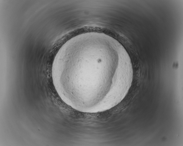 X0000114560870200911161221