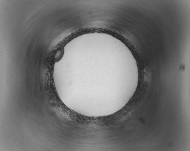 X0000114560872200911161221