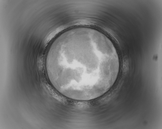 X0000114560874200911161221