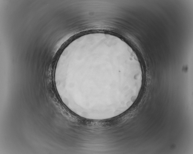 X0000114560875200911161221
