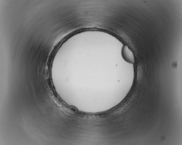 X0000114560876200911161221