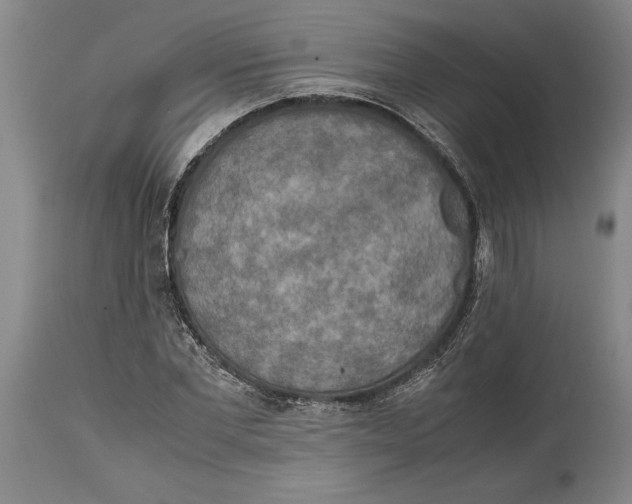 X0000114560877200911161221