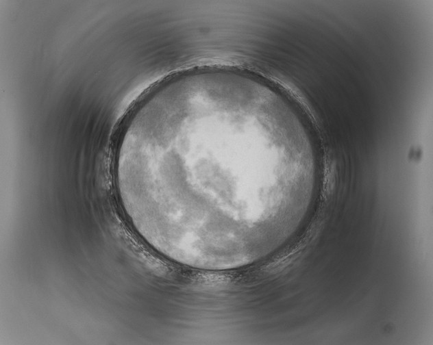 X0000114560878200911161221