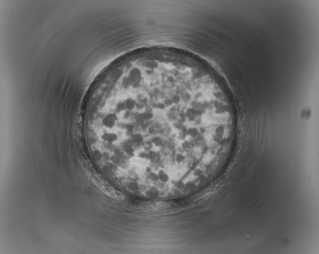 X0000114560879200911161221