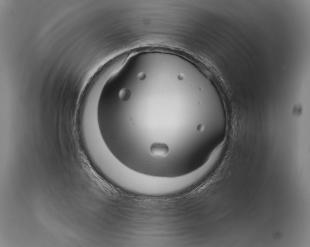 X0000114560880200911161221