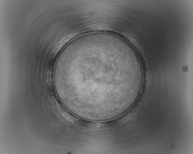 X0000114560881200911161221