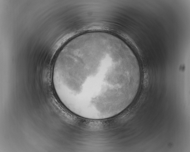 X0000114560882200911161221