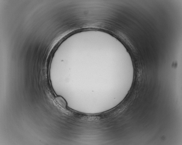 X0000114560884200911161221
