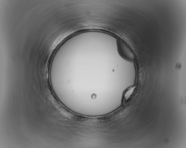 X0000114560885200911161221