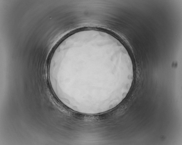 X0000114560887200911161221