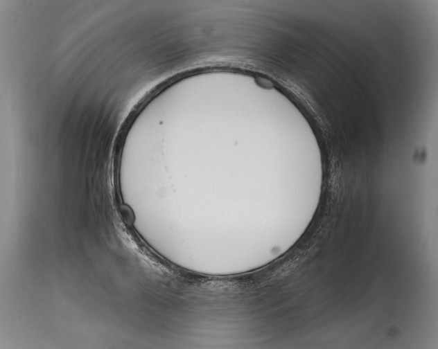 X0000114560888200911161221