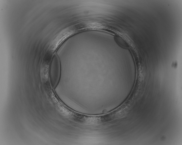 X0000114560889200911161221