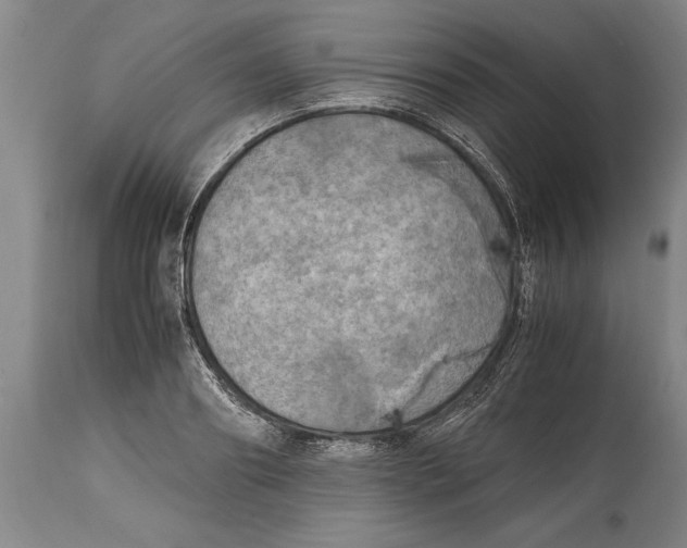 X0000114560890200911161221