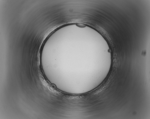 X0000114560892200911161221