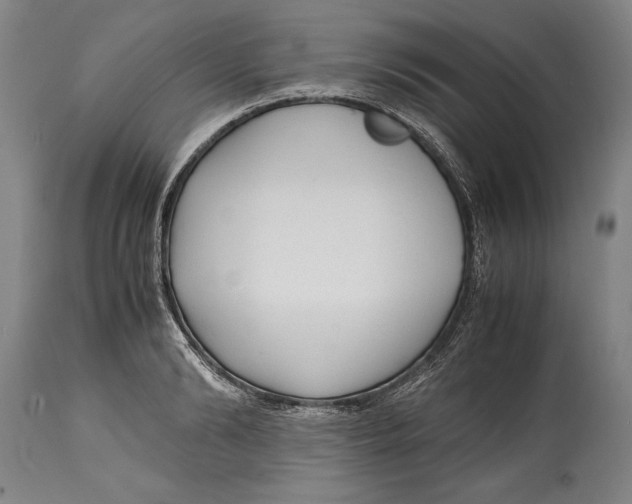 X0000114560894200911161221