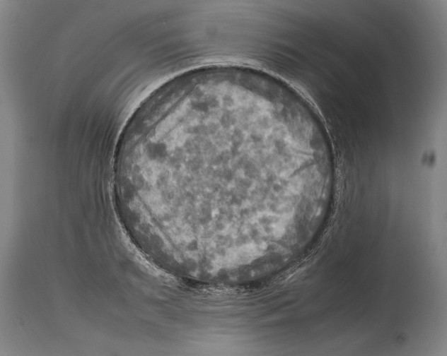 X0000114560895200911161221