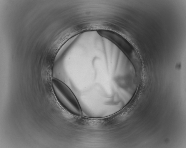 X0000114560897200911161221