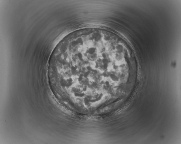 X0000114560899200911161221