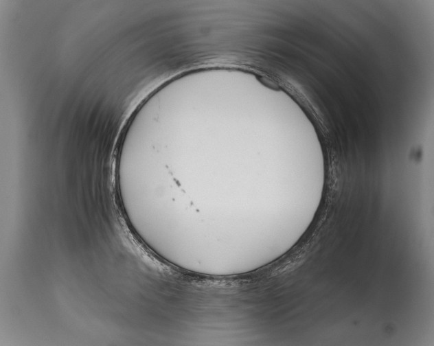 X0000114560900200911161221
