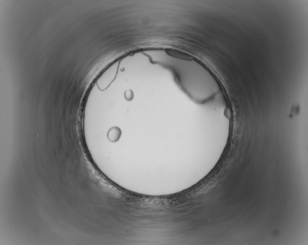 X0000114560901200911161221