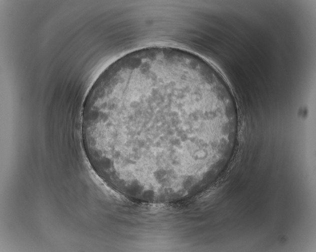 X0000114560903200911161221