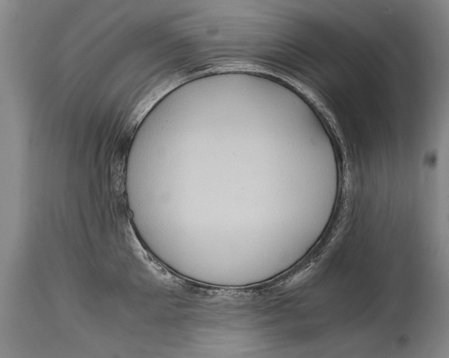 X0000114560905200911161221