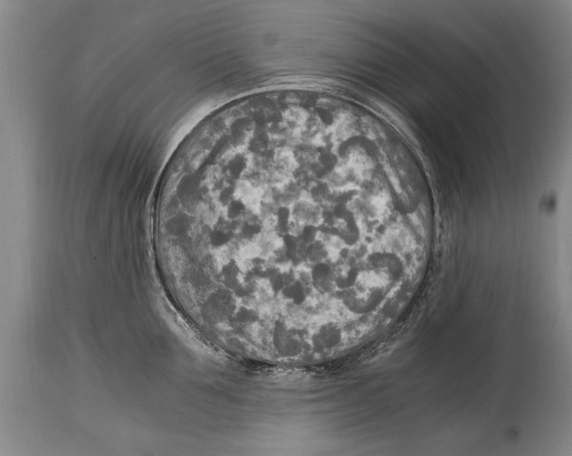 X0000114560907200911161221