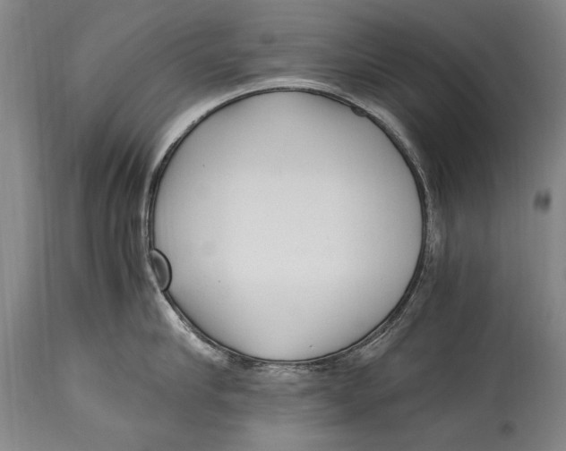 X0000114560910200911161220