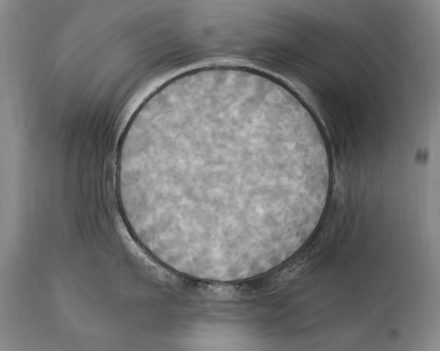 X0000114560911200911161220