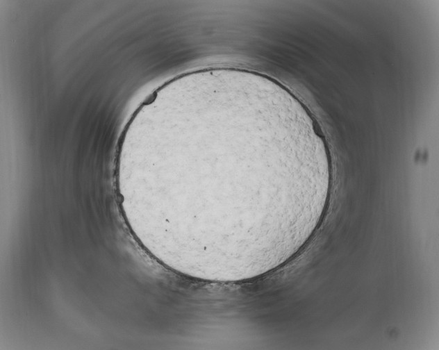 X0000114560912200911161220