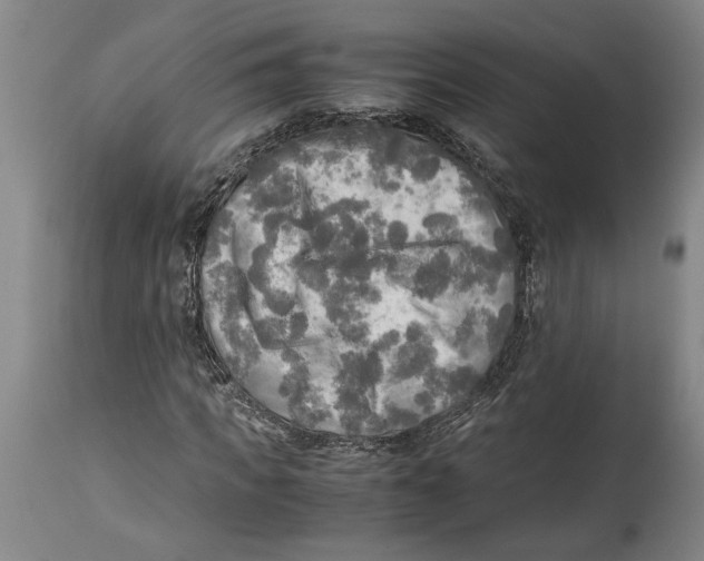 X0000114560917200911161220