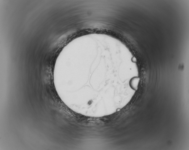 X0000114560918200911161220