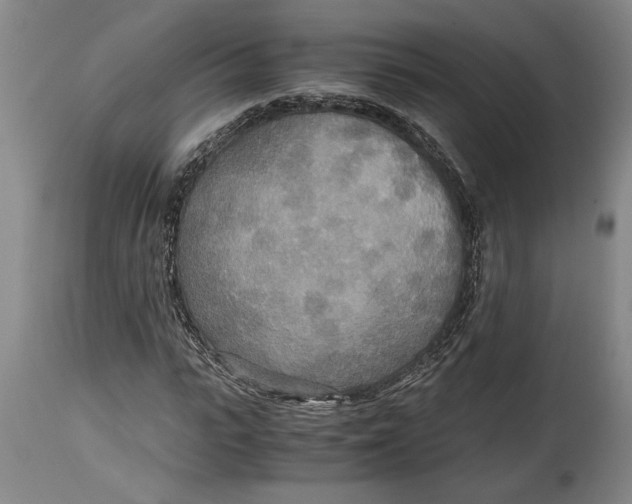 X0000114560919200911161220