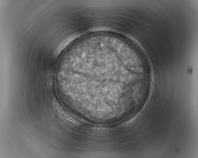 X0000114560921200911161220