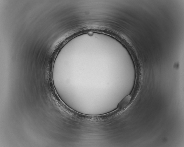 X0000114560922200911161220