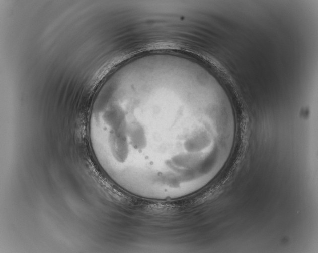 X0000114560929200911161220