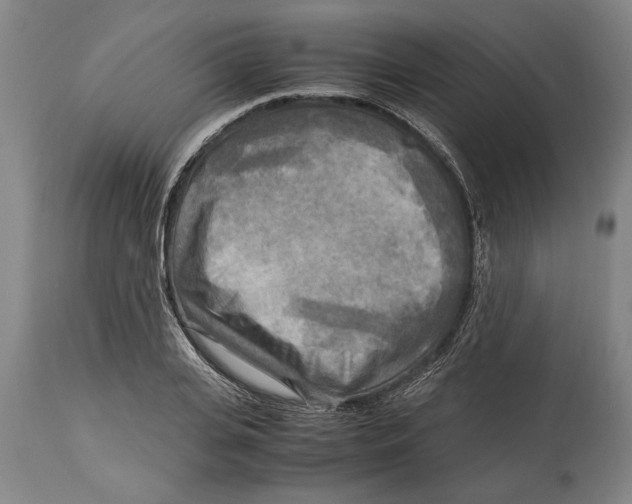 X0000114560935200911161220