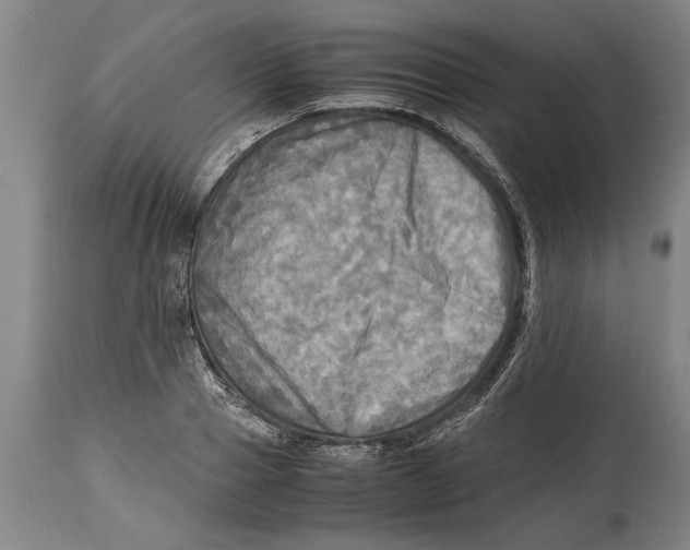 X0000114560937200911161220