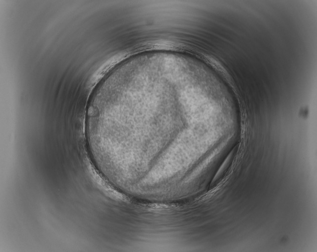 X0000114560938200911161220