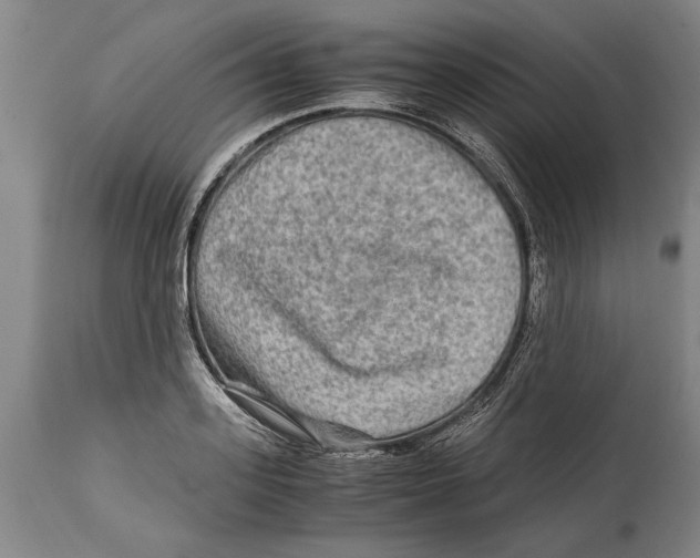 X0000114560939200911161220