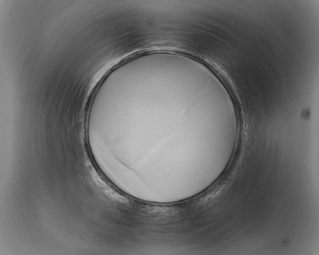X0000114560941200911161220