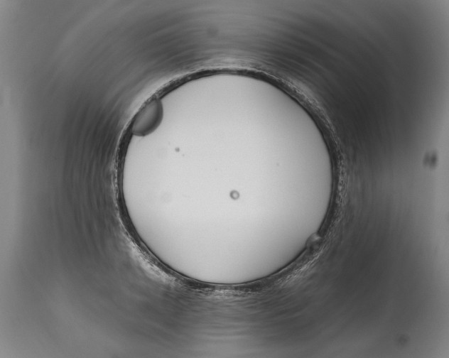X0000114560942200911161220