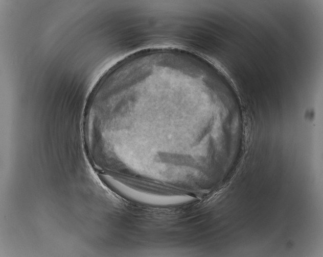 X0000114560943200911161220