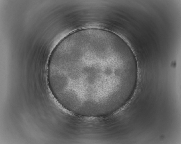 X0000114560949200911161220