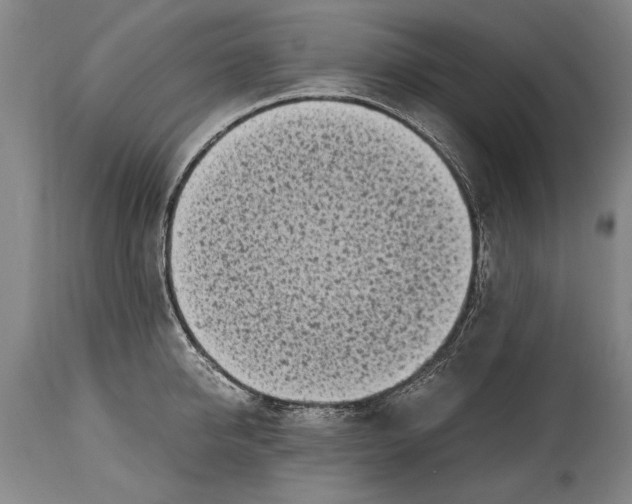 X0000114560950200911161220