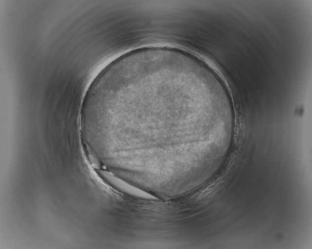 X0000114560951200911161220
